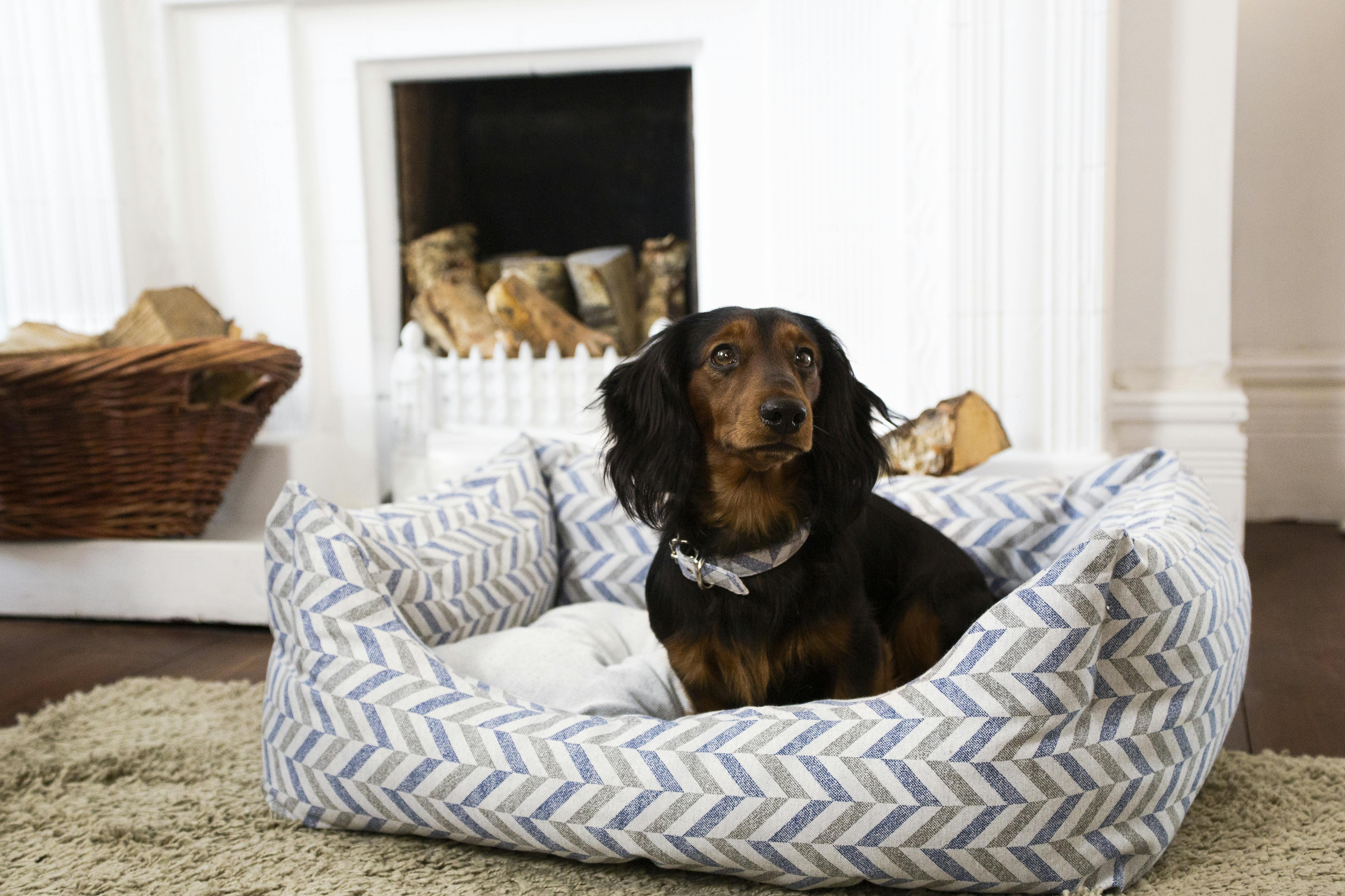 Diy dog outlet cave